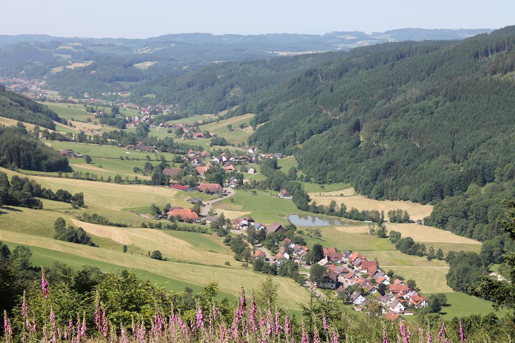 Haus Traudel Matt Hotel Elzach Eksteriør billede