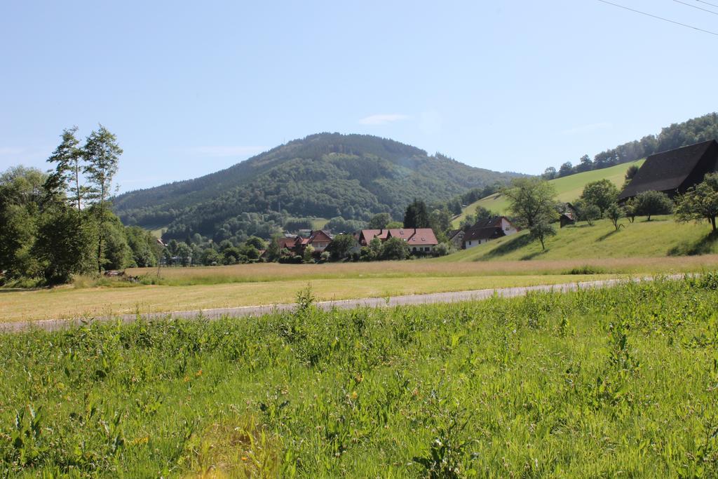 Haus Traudel Matt Hotel Elzach Eksteriør billede